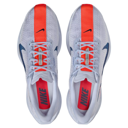 Nike Pegasus Plus